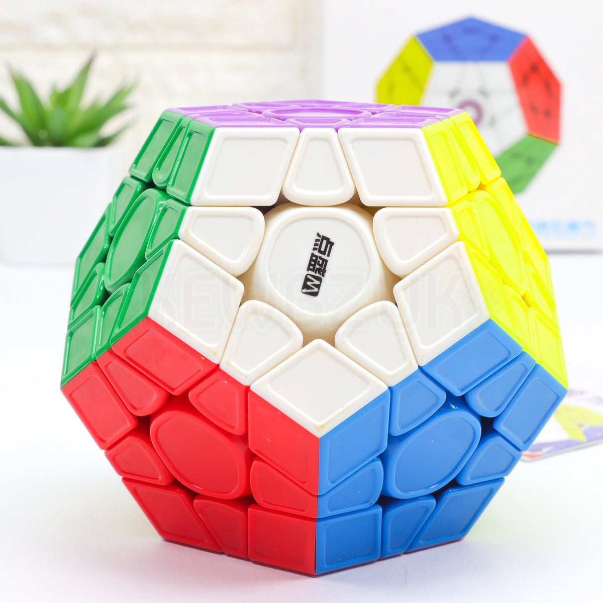 DianSheng Googol Megaminx (Magnetic)