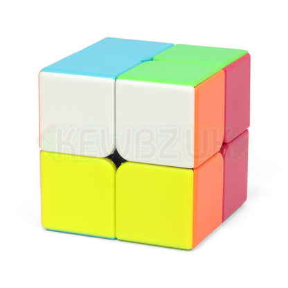 ShengShou Tank 2x2
