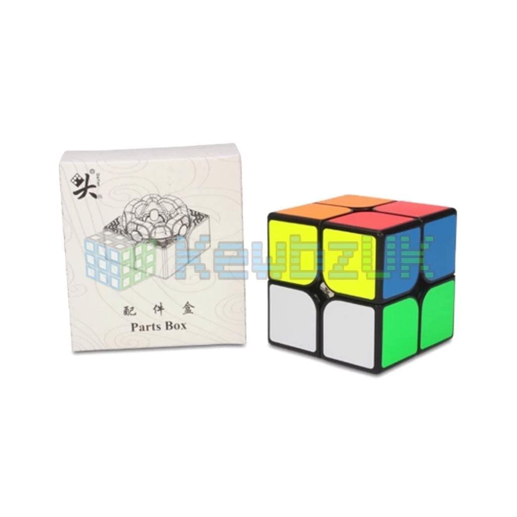 DaYan TengYun 2x2 (Magnetic)