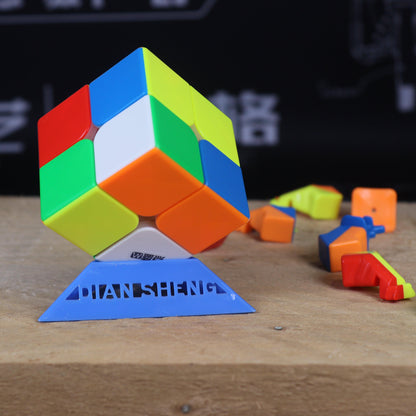 DianSheng 2x2 (Magnetic)